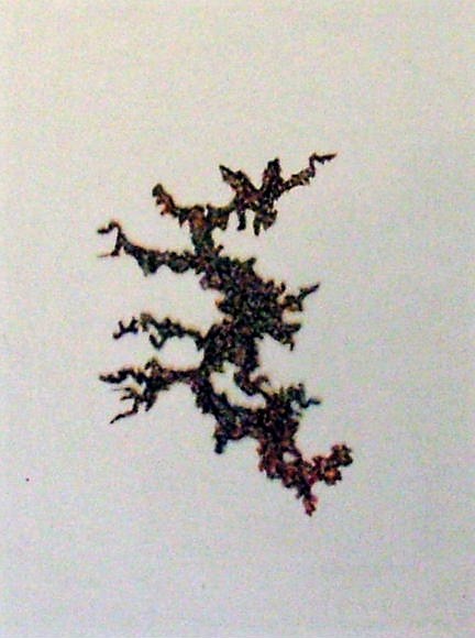 Art piece of Edmund Wood