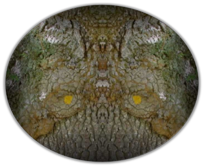Mirrored bark