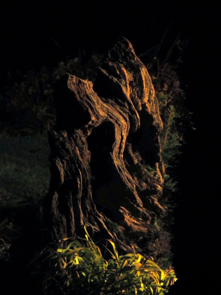 Garden piece of wood