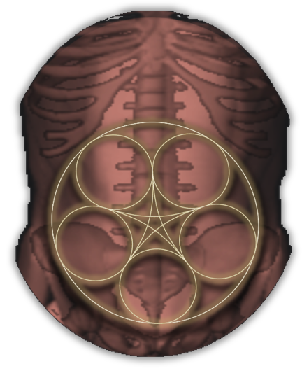 The abdominal pentacle