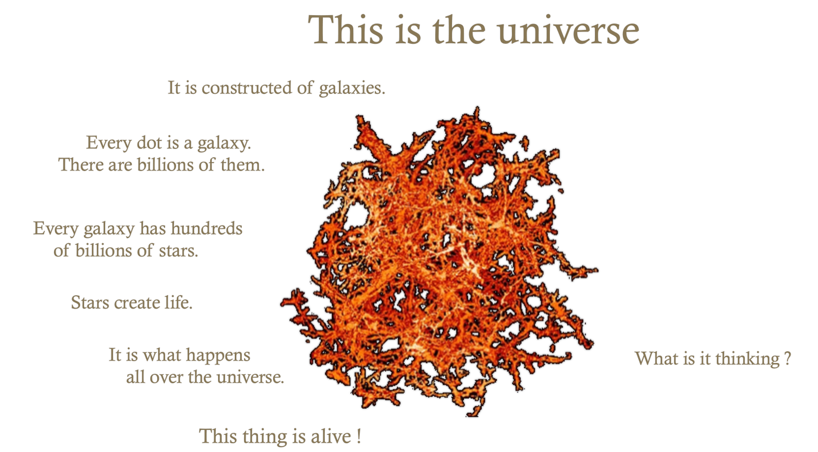 The whole universe