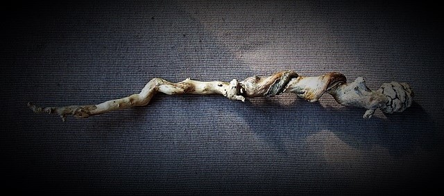 Wand