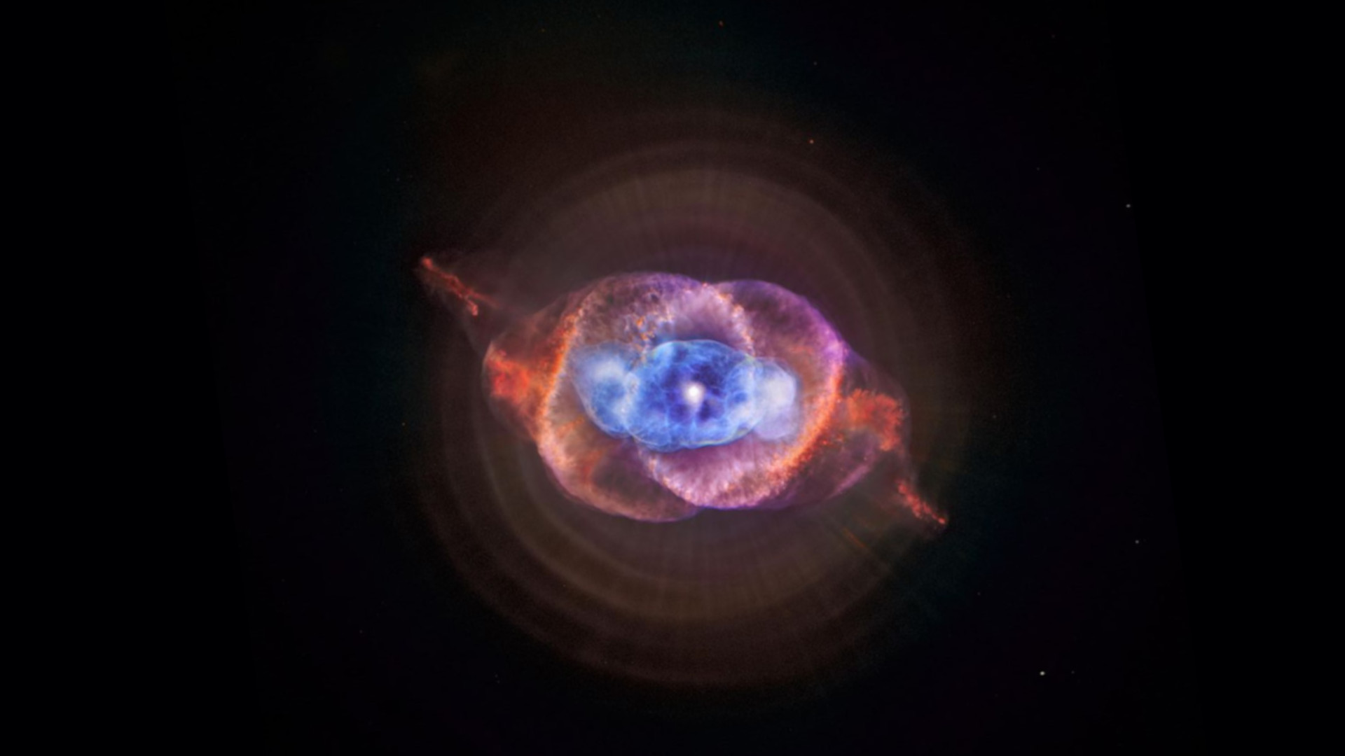 The Cat's Eye