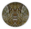 Glossary symbol